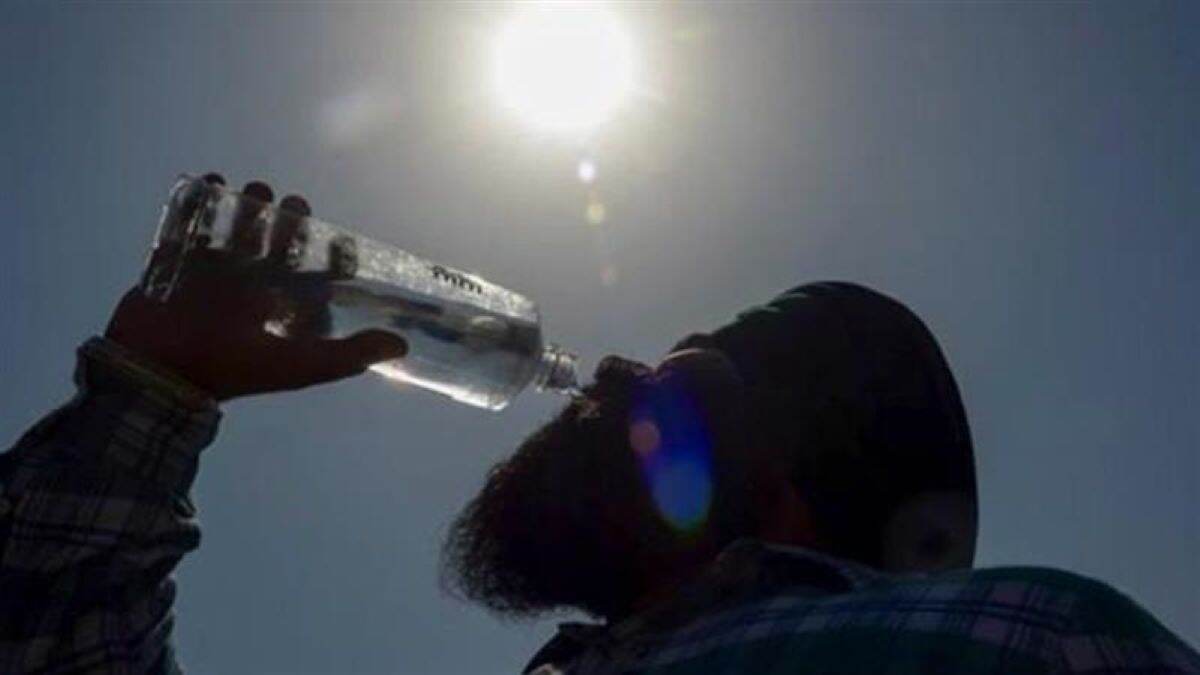 Heatwave Alert: अगर कोई तेज धूप में बेहोश हो जाए तो क्या करें? 