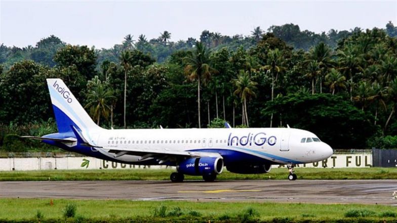 IndiGo फ्लाइट अटेंडेंट पर 5 साल की बच्ची की सोने की चेन चुराने का आरोप, जानें एयरलाइन ने क्या कहा