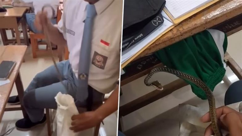 खतरनाक सांप को बैग में भरकर क्लासरूम में पहुंचा छात्र, चलती क्लास के बीच कर दी ऐसी हरकत (Watch Viral Video)