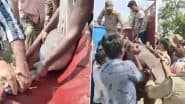 Lucknow Dolphin Rescue: इंदिरा नगर की नहर में 6 डॉल्फिन फंसी, वन विभाग ने रेस्क्यू कर घाघरा नदी में छोड़ा (Watch Video)