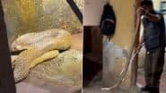 Cobra in Found in Bathroom: बेंगलुरु के जेपी नगर फ्लैट के बाथरूम में मिला 6 फीट लंबा कोबरा, किया गया रेस्क्यू (देखें वीडियो)