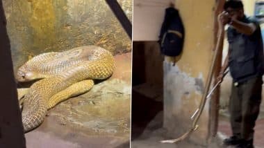 Cobra in Found in Bathroom: बेंगलुरु के जेपी नगर फ्लैट के बाथरूम में मिला 6 फीट लंबा कोबरा, किया गया रेस्क्यू (देखें वीडियो)