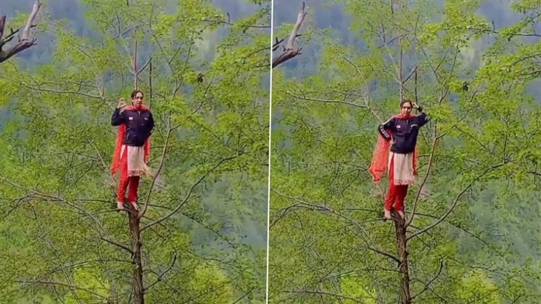Viral Video: पेड़ बना डांस फ्लोर! पहाड़ों के बीच लड़की ने लगाए जानलेवा ठुमके, वायरल वीडियो देख दंग रह गए लोग
