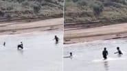 Crocodile Attack Caught on Camera: चंबल नदी में मगरमच्छ के हमले के बाद आगरा का युवक चमत्कारिक रूप से बच गया, वीडियो आया सामने