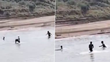 Crocodile Attack Caught on Camera: चंबल नदी में मगरमच्छ के हमले के बाद आगरा का युवक चमत्कारिक रूप से बच गया, वीडियो आया सामने