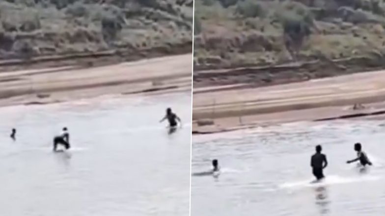 Crocodile Attack Caught on Camera: चंबल नदी में मगरमच्छ के हमले के बाद आगरा का युवक चमत्कारिक रूप से बच गया, वीडियो आया सामने