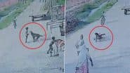 Stray Dog Attacks 8-Year-Old Boy Video: मेरठ में रेबीज से संक्रमित कुत्ते ने 8 वर्षीय बच्चे के काटे होंठ, गुस्साए ग्रामीणों ने कुत्ते को उतारा मौत के घाट