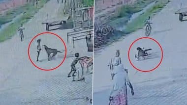 Stray Dog Attacks 8-Year-Old Boy Video: मेरठ में रेबीज से संक्रमित कुत्ते ने 8 वर्षीय बच्चे के काटे होंठ, गुस्साए ग्रामीणों ने कुत्ते को उतारा मौत के घाट