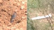 Pakistan Missile Attack: पंजाब और राजस्थान में पाकिस्तान की मिसाइल के अवशेष मिले, इलाके में हाई अलर्ट; जांच में जुटी एजेंसियां (Watch Video)