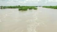 Karnataka Weather Update: कर्नाटक में भारी बारिश, धारवाड़ में ऑरेंज अलर्ट जारी, 56 गांवों पर बाढ़ का खतरा, प्रशासन ने की रेस्क्यू बोट्स और शेल्टर की व्यवस्था (Watch Video)