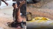 Viral Video: ‘बारिश ने फसलों के साथ उम्मीदें भी बहा दीं’: मौसम में अचानक आए बदलाव से किसान निराश, सिस्टम की नाकामी से लाखों का नुकसान