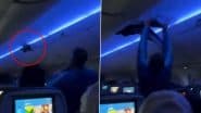 Birds on Board: मिनियापोलिस की फ्लाइट में घूसे 2 कबूतर, डेल्टा एयरलाइंस का वीडियो हुआ वायरल (Watch Video)
