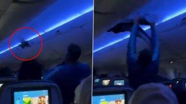 Birds on Board: मिनियापोलिस की फ्लाइट में घूसे 2 कबूतर, डेल्टा एयरलाइंस का वीडियो हुआ वायरल (Watch Video) Birds on Board: मिनियापोलिस की फ्लाइट में घूसे 2 कबूतर, डेल्टा एयरलाइंस का वीडियो हुआ वायरल (Watch Video)