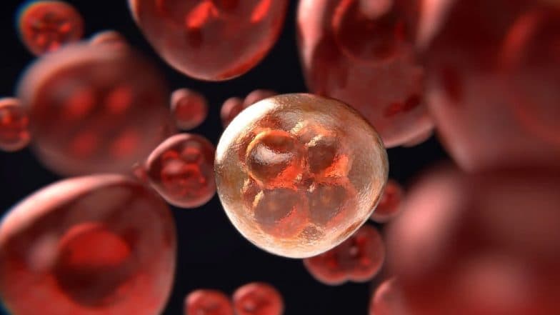 Blood Cancer Cure: अब सिर्फ 9 दिन में खत्म हो जाएगा ब्लड कैंसर, भारतीय डॉक्टरों को मिली बड़ी कामयाबी Blood Cancer Cure: अब सिर्फ 9 दिन में खत्म हो जाएगा ब्लड कैंसर, भारतीय डॉक्टरों को मिली बड़ी कामयाबी