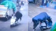Viral Video: ऋषिकेश में सांड बना स्कूटी चोर, घर के सामने से चुरा ले गया बाइक; वायरल वीडियो देख हैरान रह गए लोग