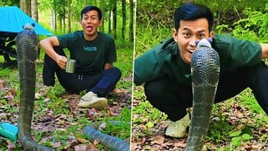 King Cobra Posing In Knitted Cap: рдЗрдВрдбреЛрдиреЗрд╢рд┐рдпрди рдЗрдиреНреЮреНрд▓реБрдПрдиреНрд╕рд░ рдиреЗ рдХрд┐рдВрдЧ рдХреЛрдмрд░рд╛ рдХреЛ рдкрд╣рдирд╛рдИ рдмреБрдиреА рд╣реБрдИ рдЯреЛрдкреА, рджреЗрдЦреЗрдВ рд╡рд╛рдпрд░рд▓ рд╡реАрдбрд┐рдпреЛ