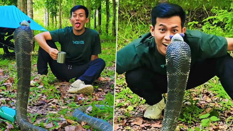 King Cobra Posing In Knitted Cap: इंडोनेशियन इन्फ़्लुएन्सर ने किंग कोबरा को पहनाई बुनी हुई टोपी, देखें वायरल वीडियो