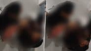 Ballia Hospital Video: यूपी का बदहाल हेल्थ सिस्टम! सोनबरसा के सीएचसी हॉस्पिटल में महिला ने फर्श पर दिया बच्चे को जन्म, सरकार के दावों की वीडियो ने खोली पोल