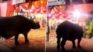 Rhino Walks Into Wedding Venue: नेपाल के चितवन में शादी समारोह स्थल में घुसा गैंडा, वीडियो वायरल