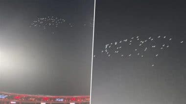 White Pigeons Pay Tribute To Virat Kohli! विराट कोहली के टेस्ट से रिटायरमेंट के बाद चिन्नास्वामी में सफ़ेद कबूतरों ने दी ट्रिब्यूट, बारिश में आसमान में नेचुरल कारनामा देख प्रफुलित हुए फैंस, देखें वीडियो