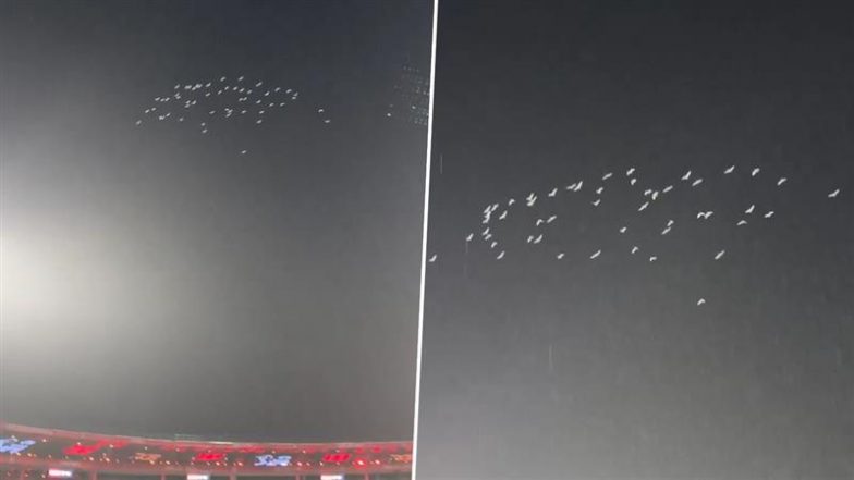White Pigeons Pay Tribute To Virat Kohli! विराट कोहली के टेस्ट से रिटायरमेंट के बाद चिन्नास्वामी में सफ़ेद कबूतरों ने दी ट्रिब्यूट, बारिश में आसमान में नेचुरल कारनामा देख प्रफुलित हुए फैंस, देखें वीडियो