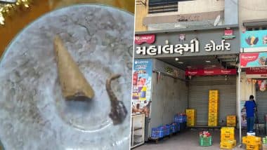 Gujarat Shocker: हैवमोर कोन के अंदर मिली छिपकली की कटी हुई पूंछ, अहमदाबाद नगर निगम ने अनाधिकृत आइसक्रीम स्टोर को किया सील