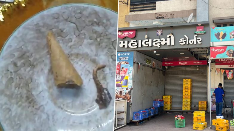 Gujarat Shocker: हैवमोर कोन के अंदर मिली छिपकली की कटी हुई पूंछ, अहमदाबाद नगर निगम ने अनाधिकृत आइसक्रीम स्टोर को किया सील