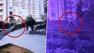 Viral Video: ग्रेटर नोएडा वेस्ट सोसायटी में पालतू कुत्ते के हमले से बचने की कोशिश में महिला कॉरिडोर से 20 फीट नीचे गिरी; हालत गंभीर