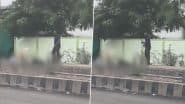 Murder Caught on Camera: यवतमाल में पारिवारिक विवाद के चलते शख्स ने सड़क पर बड़े भाई की बेरहमी से की हत्या, तमाशा देखते रहे लोग (देखें डिस्टर्बिंग वीडियो)