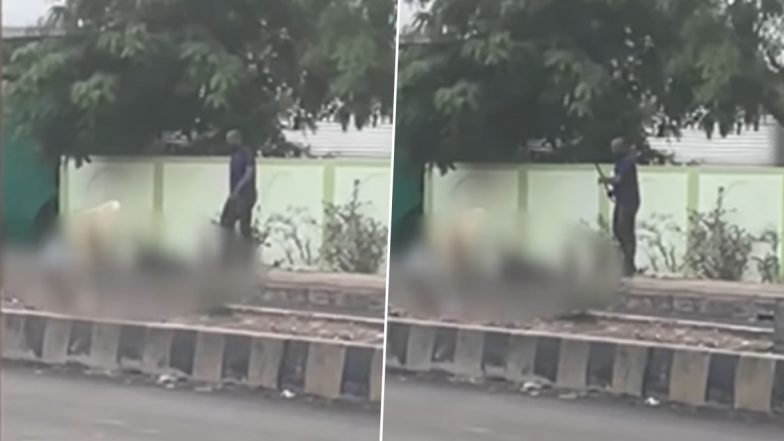 Murder Caught on Camera: यवतमाल में पारिवारिक विवाद के चलते शख्स ने सड़क पर बड़े भाई की बेरहमी से की हत्या, तमाशा देखते रहे लोग (देखें डिस्टर्बिंग वीडियो)