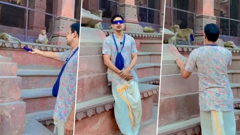 Viral Video: वृंदावन में शख्स ने बंदर को सन ग्लासेस देने की कोशिश की, लेकिन जानवर ने लेने से किया मना, उसके बाद जो हुआ देखें वीडियो