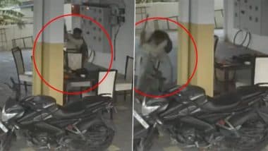 Nagpur Horror: प्रेम प्रसंग के शक में प्रेमी ने प्रेमिका की लोहे की रॉड से पीट-पीटकर की हत्या, शॉकिंग वीडियो आया सामने