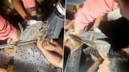VIDEO: नोएडा पार्क के बेंच में फंसी 7 साल की बच्ची की उंगलियां, फायर ब्रिगेड ने मेटल काटकर बचाई जान; 6 घंटे चला रेस्क्यू ऑपरेशन