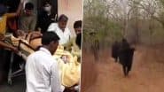 Bees Attack in Lalitpur: ललितपुर में देवगढ़ बौद्ध गुफाओं के पास IAS समेत अधिकारियों पर किया मधुमक्खियों ने हमला, कंबल ओढ़कर भागे, हॉस्पिटल में किया गया एडमिट (Watch Video)