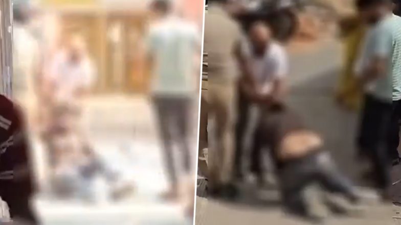 Jhansi Video: झांसी के सिविल हॉस्पिटल में दबंगों का आतंक, MR के साथ की जमकर मारपीट, पुलिस बनी रही मूकदर्शक, वीडियो आया सामने