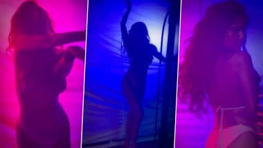 Poonam Pandey Bold Video: पूनम पांडे का बोल्ड अंदाज़ सोशल मीडिया पर वायरल, न्यूड लाइट में दिखाया हॉट अवतार (Watch Video)