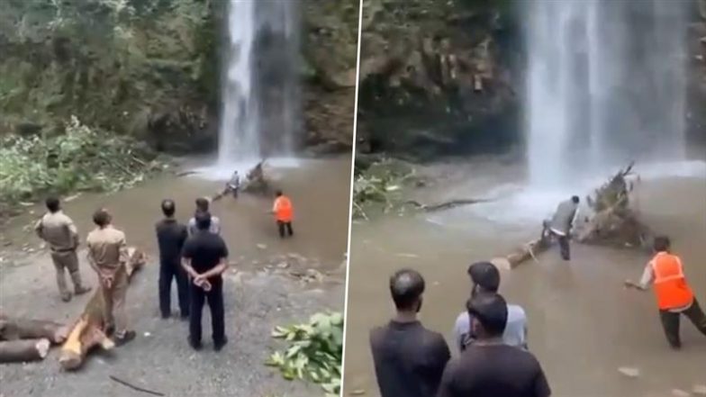 Uttarakhand: देहरादून के चकराता टाइगर फॉल में बड़ा हादसा, पेड़ गिरने से दिल्ली की महिला पर्यटक समेत दो की मौत; VIDEO