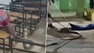 Viral Video: ओड़िशा के गजपति जिले की स्कूल के क्लासरूम में बैठा था 13 फीट का विशालकाय किंग कोबरा, देखने के बाद लोगों के उड़े होश, वीडियो वायरल