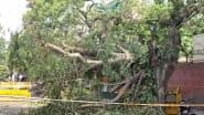 Greater Noida: एनटीपीसी टाउनशिप में तूफान के दौरान पेड़ उखड़ने से शिक्षक की मौत, देखें डिस्टर्बिंग वीडियो