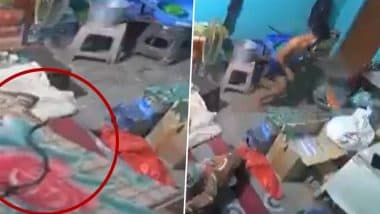 Viral Video: सोते वक्त कोबरा ने दो बार डसा, बागपत के होटल कर्मचारी की दर्दनाक मौत; CCTV कैमरे में कैद हुई तस्वीर