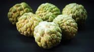Benefits of Custard Apple and its Leaves: खून की कमी करे दूर, हड्डियां बनाए मजबूत, जानें सीताफल और इसके पत्तों के फायदे