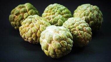 Benefits of Custard Apple and its Leaves: खून की कमी करे दूर, हड्डियां बनाए मजबूत, जानें सीताफल और इसके पत्तों के फायदे Benefits of Custard Apple and its Leaves: खून की कमी करे दूर, हड्डियां बनाए मजबूत, जानें सीताफल और इसके पत्तों के फायदे
