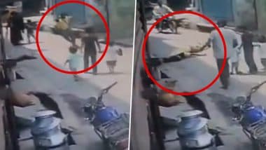 Sudden Death: मोरादाबाद में सड़क पर चल रहा व्यक्ति अचानक गिर पड़ा, हार्ट अटैक की आशंका (देखें वीडियो)