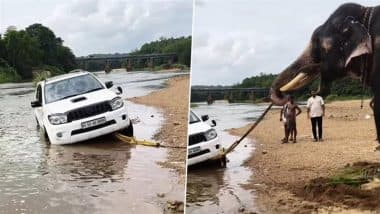 Elephant Pulled Over SUV: केरल के पलक्कड़ गांव में नदी से 2000 किलो वजनी एसयूवी को हाथी ने सफलतापूर्वक निकाला बाहर, देखें वीडियो