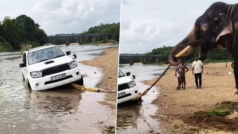 Elephant Pulled Over SUV: केरल के पलक्कड़ गांव में नदी से 2000 किलो वजनी एसयूवी को हाथी ने सफलतापूर्वक निकाला बाहर, देखें वीडियो