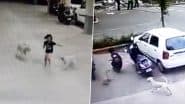 Pune Dog Attack: आवारा कुत्तों के हमले से लोग हुए परेशान, पुणे जिले के पार्क इन्फिनिया सोसाइटी के नागरिकों ने लगाई PMC से मदद की गुहार (Watch Video)