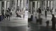 Viral Video: अहमदाबाद में पालतू कुत्ते ने 4 महीने की बच्ची को नोच डाला, इलाज के दौरान मौत; मालकिन पर दर्ज हुआ केस
