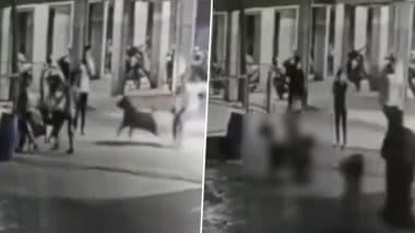 Viral Video: अहमदाबाद में पालतू कुत्ते ने 4 महीने की बच्ची को नोच डाला, इलाज के दौरान मौत; मालकिन पर दर्ज हुआ केस