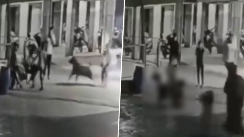 Viral Video: अहमदाबाद में पालतू कुत्ते ने 4 महीने की बच्ची को नोच डाला, इलाज के दौरान मौत; मालकिन पर दर्ज हुआ केस