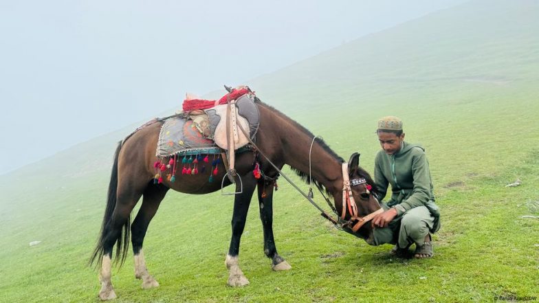 पाकिस्तानी कश्मीर में लोगों को राशन जमा करने का निर्देश